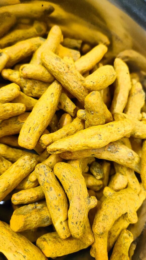 Dried turmeric roots