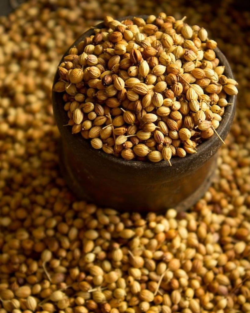 Coriander seed